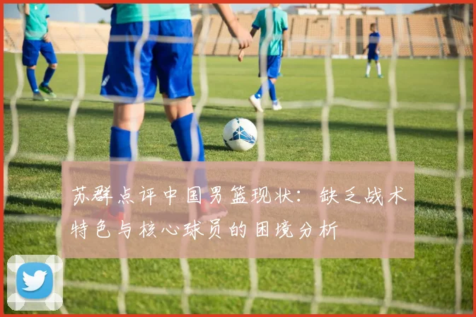 苏群点评中国男篮现状：缺乏战术特色与核心球员的困境分析