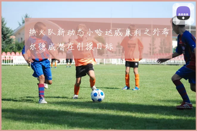 热火队新动态小哈达威康利之外希尔德成潜在引援目标