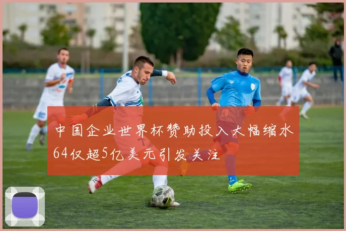 中国企业世界杯赞助投入大幅缩水64仅超5亿美元引发关注